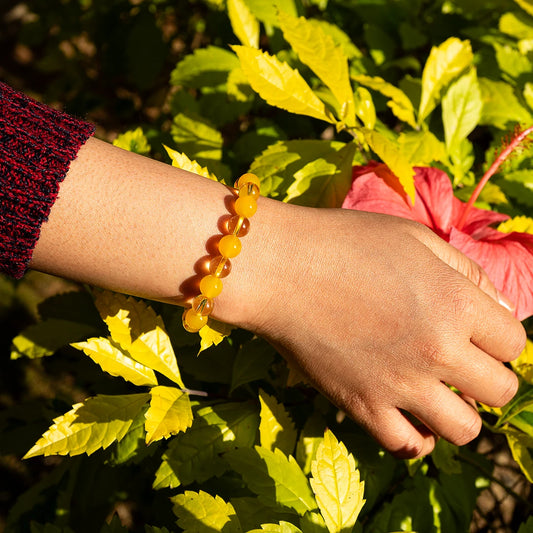 Opulent Nobility - Duo Wealth Bracelet